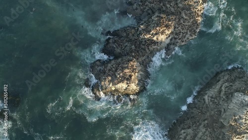 Sea Lions On The Rock, In The Nature Sanctuary, Coast Of Cobquecura, Chile - aerial top down photo