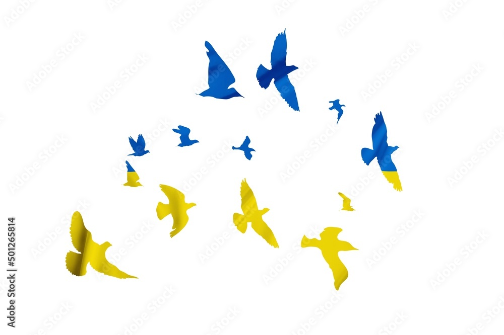 Fototapeta premium Peace for world. Yellow-blue bird.