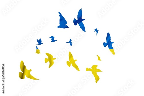 Peace for world. Yellow-blue bird.