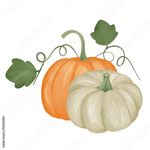 pumpkin with leaves