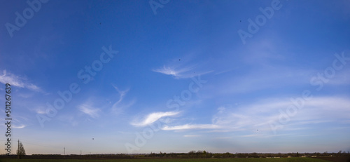 Fototapeta Naklejka Na Ścianę i Meble -  Panorama of blue sky with feathery clouds
