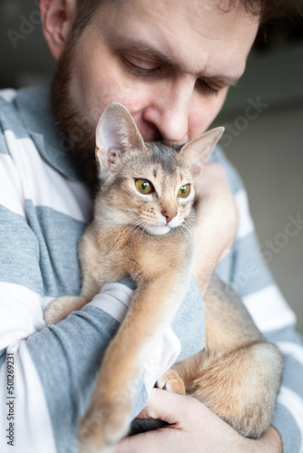 Fototapeta Naklejka Na Ścianę i Meble -  Close up of bearded man kissing his grey cat. Cute Abyssinian kitten of blue color. Love relationship between human and cat. Pets care. Cat day. Vertical image. Selective focus.
