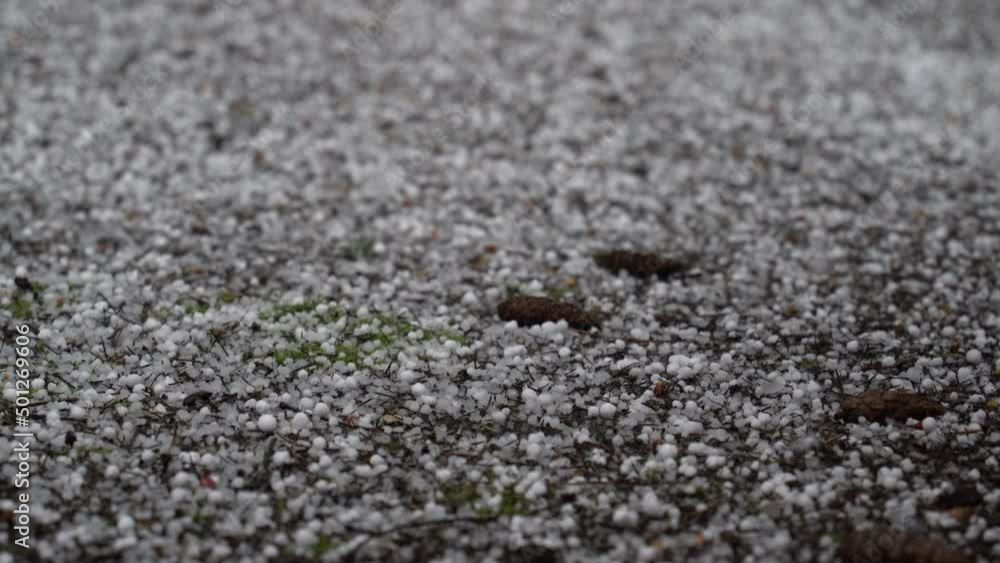 Bouncing pellets of popcorn hail cover the ground, sudden, unexpected, closeup Bouncing pellets of popcorn hail cover the ground, sudden, unexpected, closeup