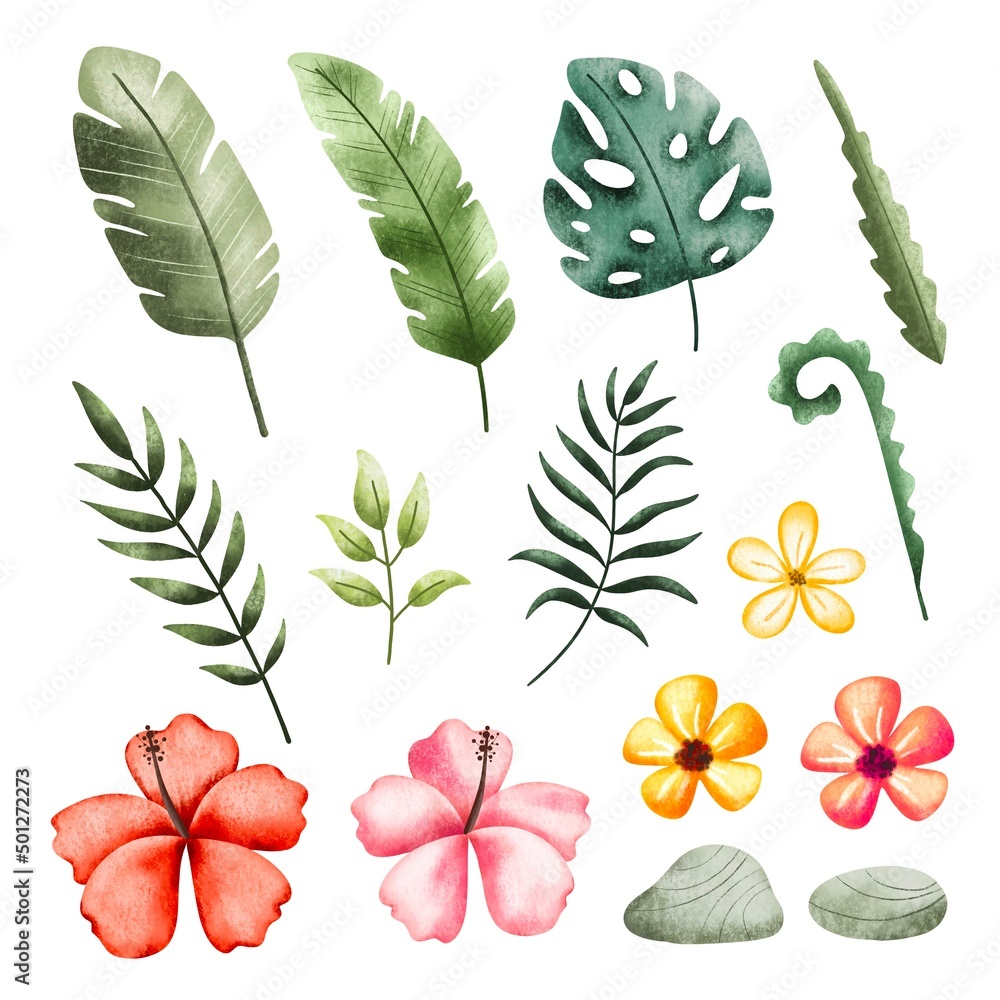 Set of Tropical plant leaves and flowers Set of Tropical plant leaves and flowers