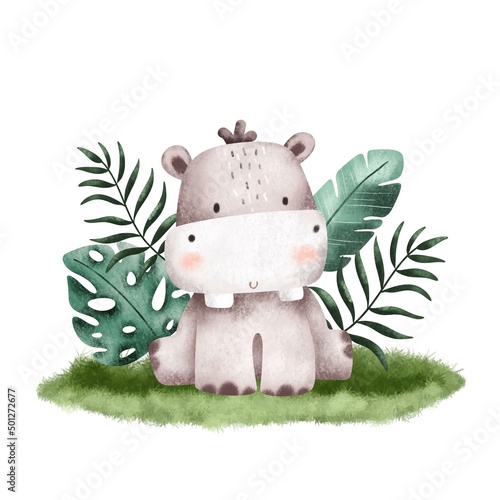Watercolor Illustration Safari Animal Hippo