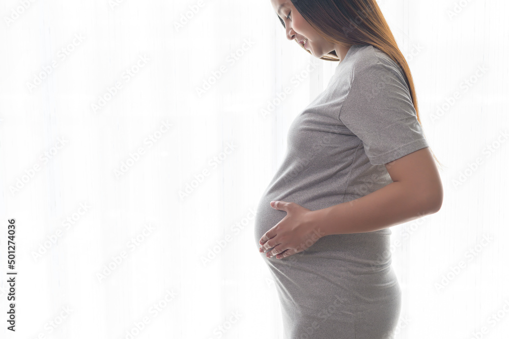 Young beautiful pregnant woman at home, maternity and pregnancy care concept Young beautiful pregnant woman at home, maternity and pregnancy care concept