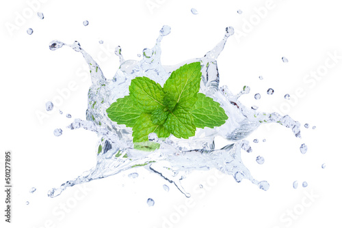 Mint leaf in water splash isolated on white background.