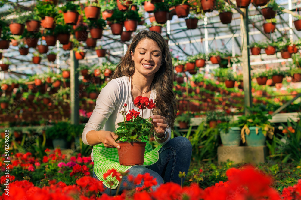 A beautiful Caucasian woman works with flowers in a greenhouse. She checks the plants and prepares for the order .