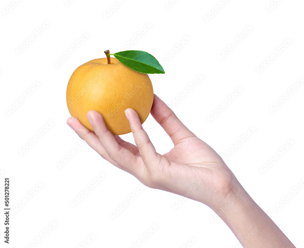 hand holding pear fruit hand holding pear fruit
