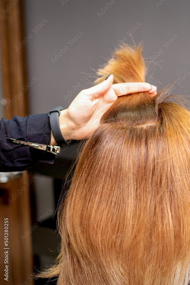 The hairdresser holds a strand in hand between fingers of the female hair. Examination of the hair of the young woman in a hairdressing salon The hairdresser holds a strand in hand between fingers of the female hair. Examination of the hair of the young woman in a hairdressing salon