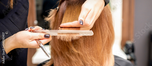 Hands of hairdresser hold hair strand between his fingers making haircut of long hair of the young woman with comb and scissors in hairdresser salon, close up