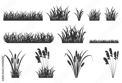 Obraz na plátně Silhouette of grass with reeds
