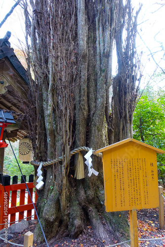 Kifune shrine in Kyoto, Japan photo