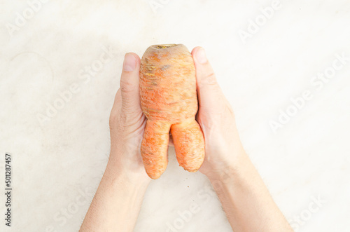 Hands hold ugly carrot in the shape of a little man on white background.Funny, unnormal vegetable or food waste concept.