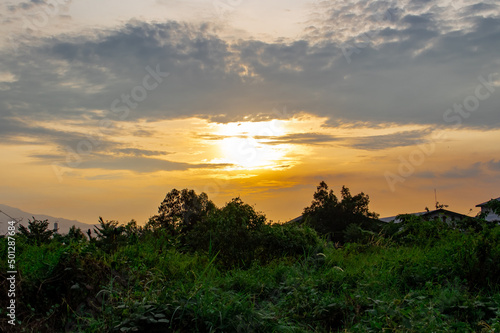 sunset over the field