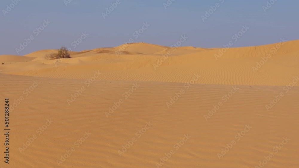 Movement from one dune to another. Someone is walking in desert. First-person view. Barkhans of quicksand in barren place. Man going through desolate area. Sand hills, small tree in distance Movement from one dune to another. Someone is walking in desert. First-person view. Barkhans of quicksand in barren place. Man going through desolate area. Sand hills, small tree in distance