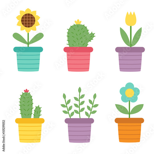 Cute flowers in pots on white background in cartoon style.