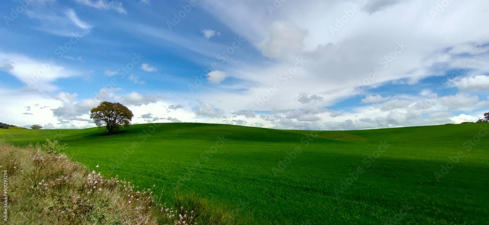 Green meadows in Italy Green meadows in Italy