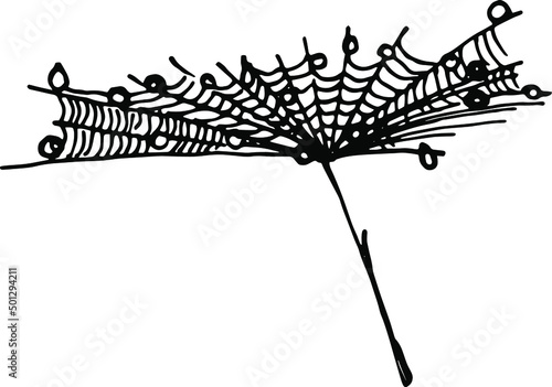 Hand drawn dandelion fluffy umbrella seed covered with cobweb with raindrops wafting on the breeze. Well for prints, design, decoration and more	