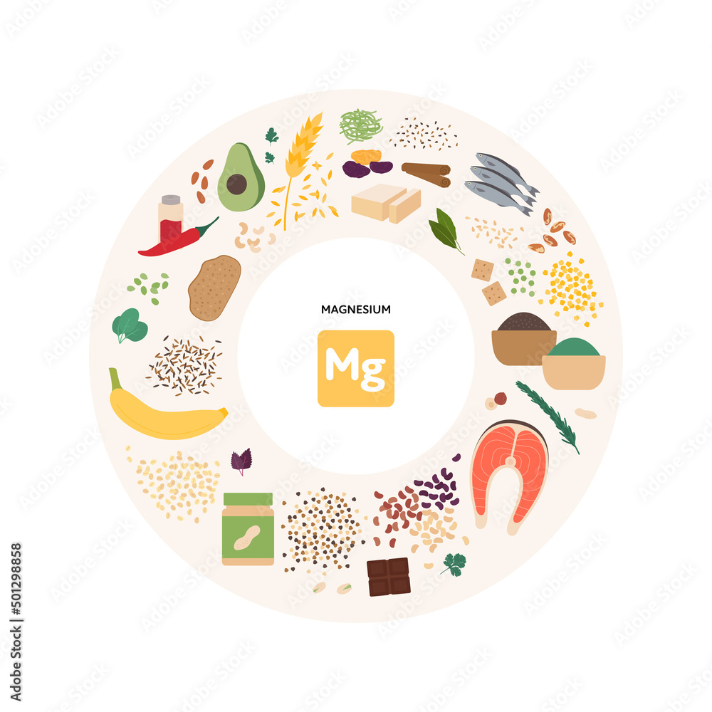 Healthy food micronutrients guide concept. Vector flat illustration. Collection of magnesium product sources. Colorful set of seeds, seafood, vegetables, fruits symbol set. - obrazy, fototapety, plakaty 
