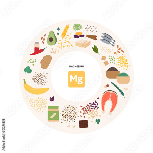 Healthy food micronutrients guide concept. Vector flat illustration. Collection of magnesium product sources. Colorful set of seeds, seafood, vegetables, fruits symbol set.