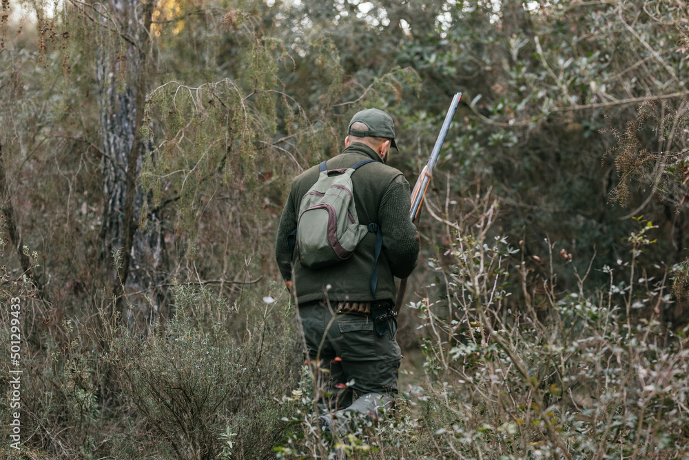 Unrecognizable Hunter entering forest carrying his weapon