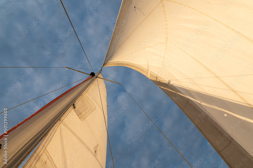Fototapeta premium Sailing in the wind through the waves.