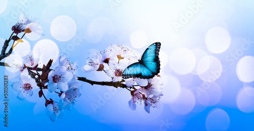 Beautiful butterfly and branch with tiny flowers on light blue background, bokeh effect. Awesome spring blossom