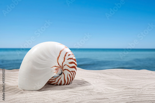 Nautilus shell on sandy beach near ocean, space for text