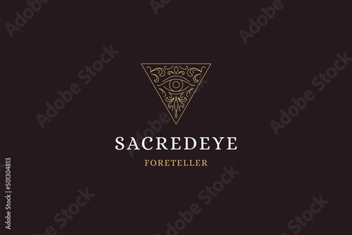 Occultism all seeing eye vintage triangle curved frame with place for text line art logo vector