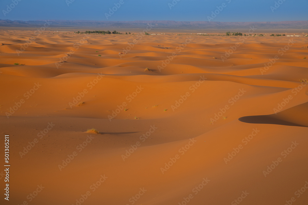 Sahara Zachodnia, Maroko - obrazy, fototapety, plakaty 