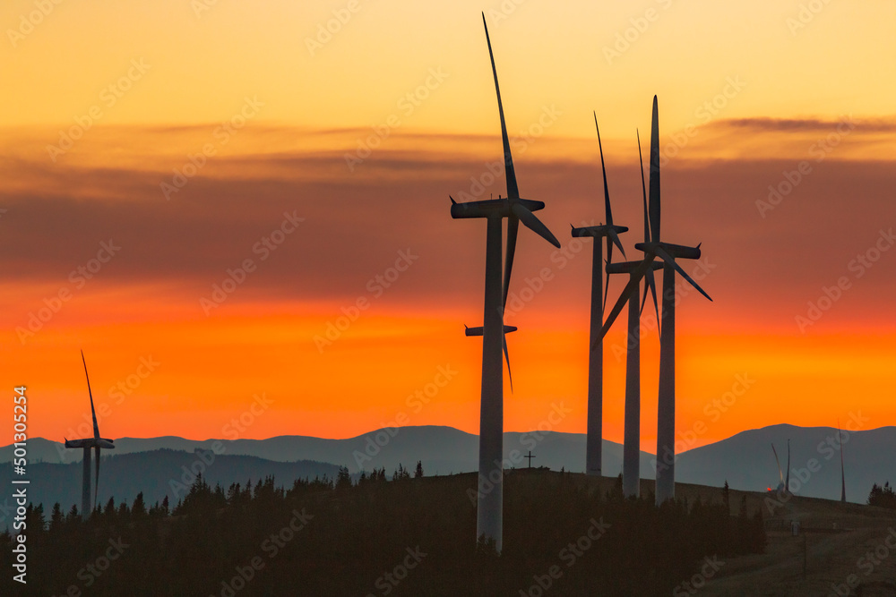 Obraz premium Windräder im Abendrot