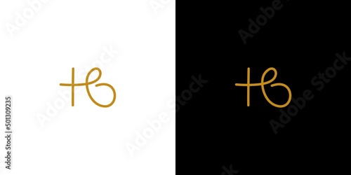 modern and unique handwritten letter HB initials logo design