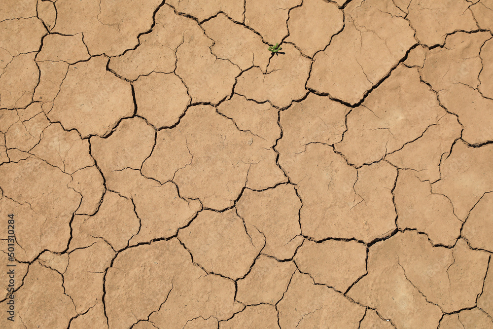 sequía suelo seco agrietado falta de agua textura desertización almería españa 4M0A5215-as22 sequía suelo seco agrietado falta de agua textura desertización almería españa 4M0A5215-as22