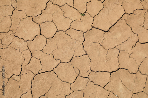 sequía suelo seco agrietado falta de agua textura desertización almería españa 4M0A5215-as22