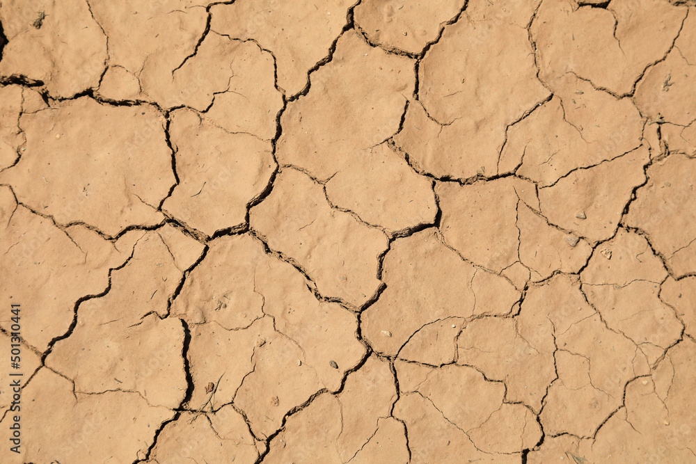 sequía tierra seca agrietada falta de agua textura desertización sur almería españa 4M0A5233-as22