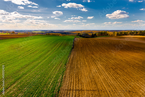 Pole uprawne z dwoma stronami po jednej złocista ziemia po zasianiu a po drugiej wzrastające zboża.
Podział ziemi na poł. Perspektywa pozioma.