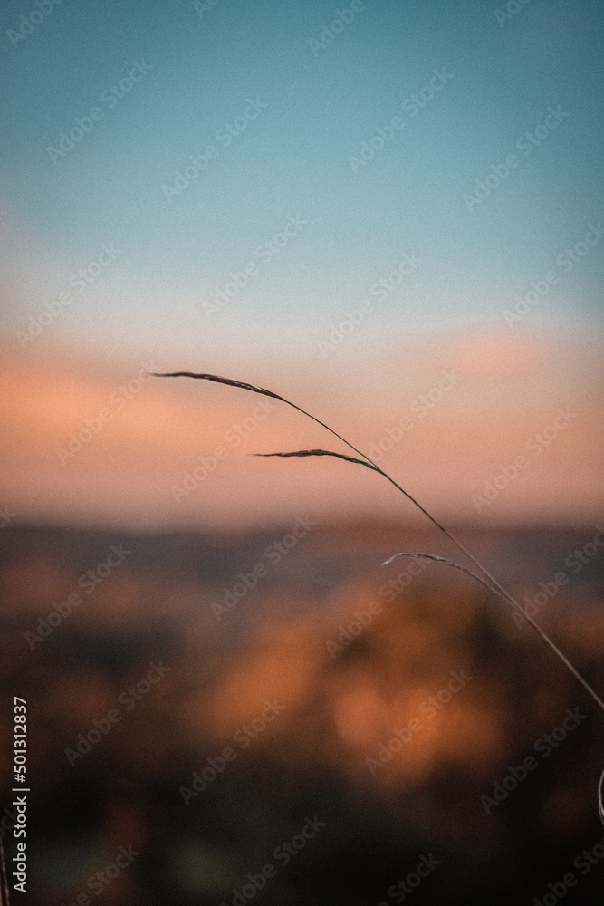 Obraz premium Atardecer con colores pasteles