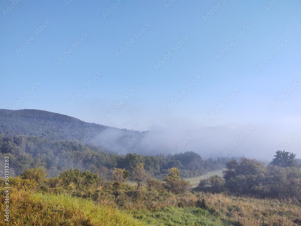 Mist in the forest. Sunrays behind the trees. Slovakia Mist in the forest. Sunrays behind the trees. Slovakia