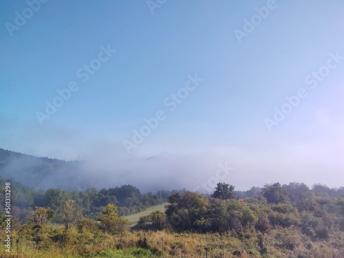 Mist in the forest. Sunrays behind the trees. Slovakia