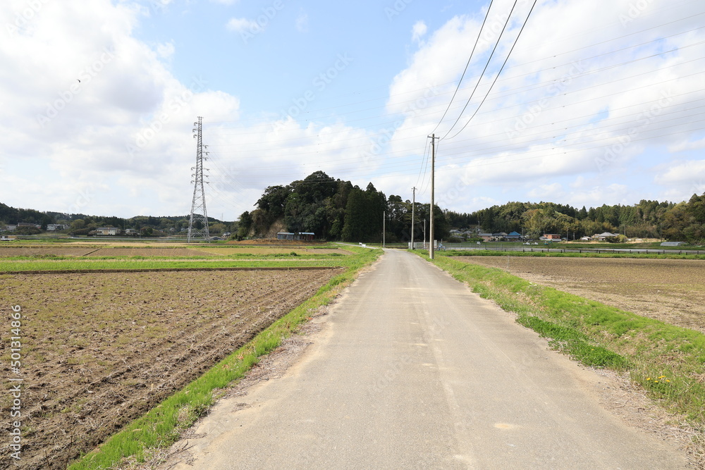 Fototapeta premium 田舎の景色