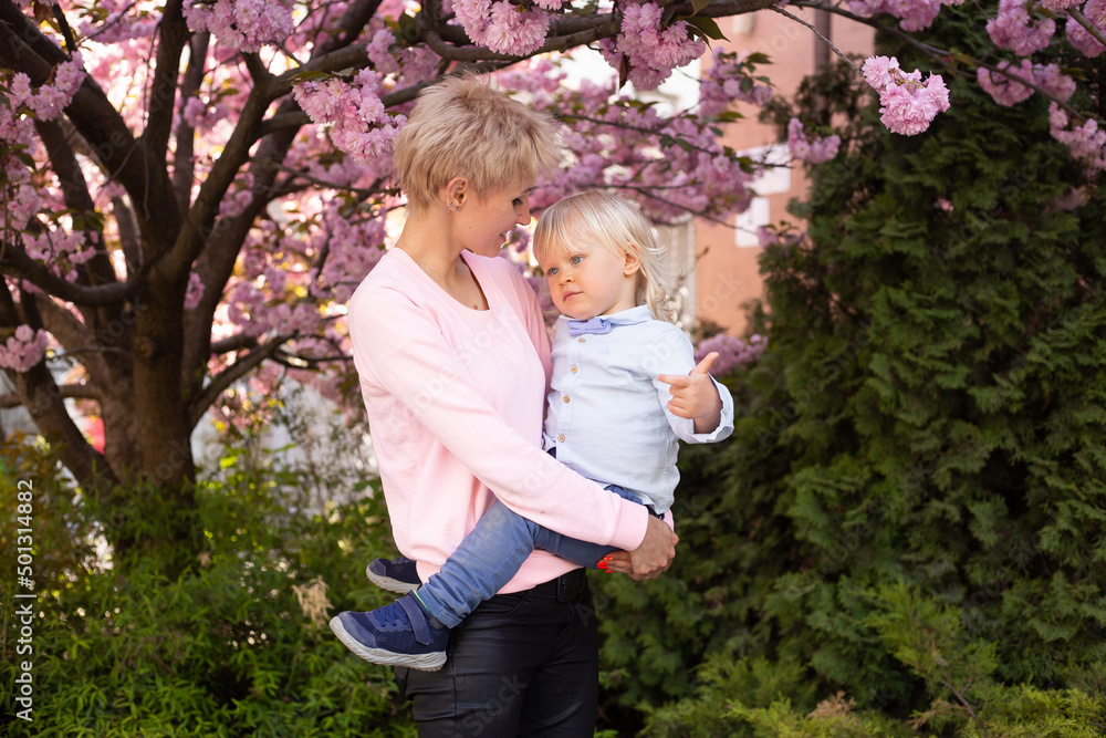 happy mother and little baby boy son having fun in spring park near pink sakura blooming tree. Spring concept happy mother and little baby boy son having fun in spring park near pink sakura blooming tree. Spring concept