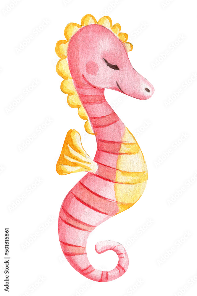 Fototapeta premium Seahorse on an isolated white background. Watercolor drawing