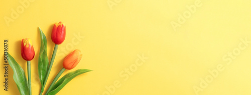 Mother's day background concept. Top view design of holiday greeting tulip flower bouquet on bright yellow table