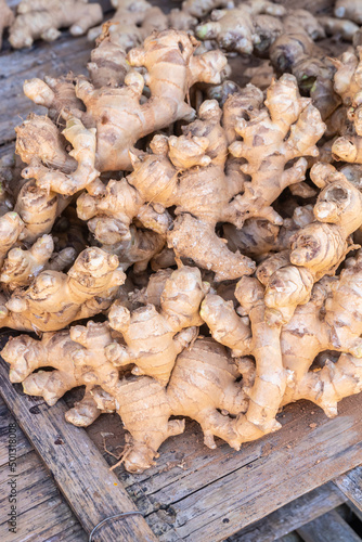 Fresh organic ginger roots pile at Thailand farmers market.