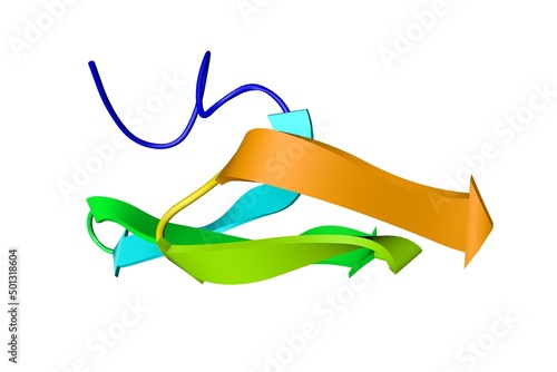 Crystal structure of epidermal growth factor domain of P-selectin. Rendering based on protein data bank entry 1fsb. Rainbow coloring from N to C. 3d illustration photo