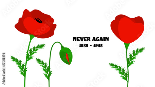 Victory Day Banner With a Poppy Flowers and a Description Never Again photo