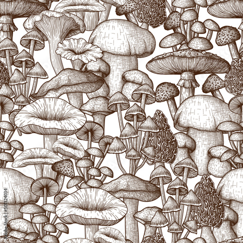 Vector seamless pattern mushrooms in engraving style. Linear graphic fly agaric, chanterelles, porcini mushrooms, honey agarics, moreli, mycena, russula, boletus