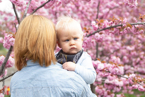 woman with little baby boy near pink sakura blooming tree. Spring concept