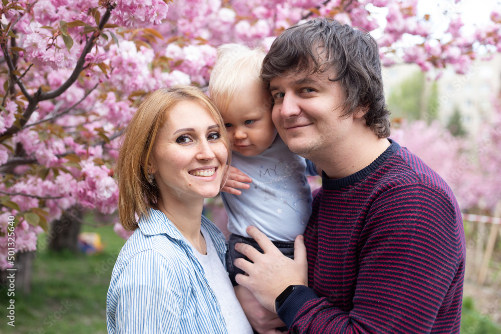 parents holding their little baby son boy child under blossoming Sakura Cherry trees with falling pink petals and beautiful flowers parents holding their little baby son boy child under blossoming Sakura Cherry trees with falling pink petals and beautiful flowers